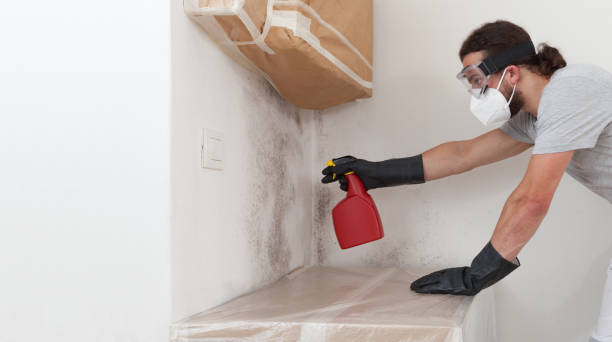 Professional Mold Testing technician working in Needham, MA